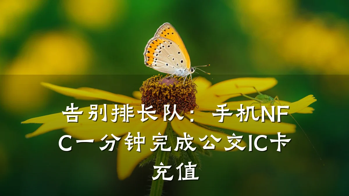 告别排长队:手机NFC一分钟完成公交IC卡充值