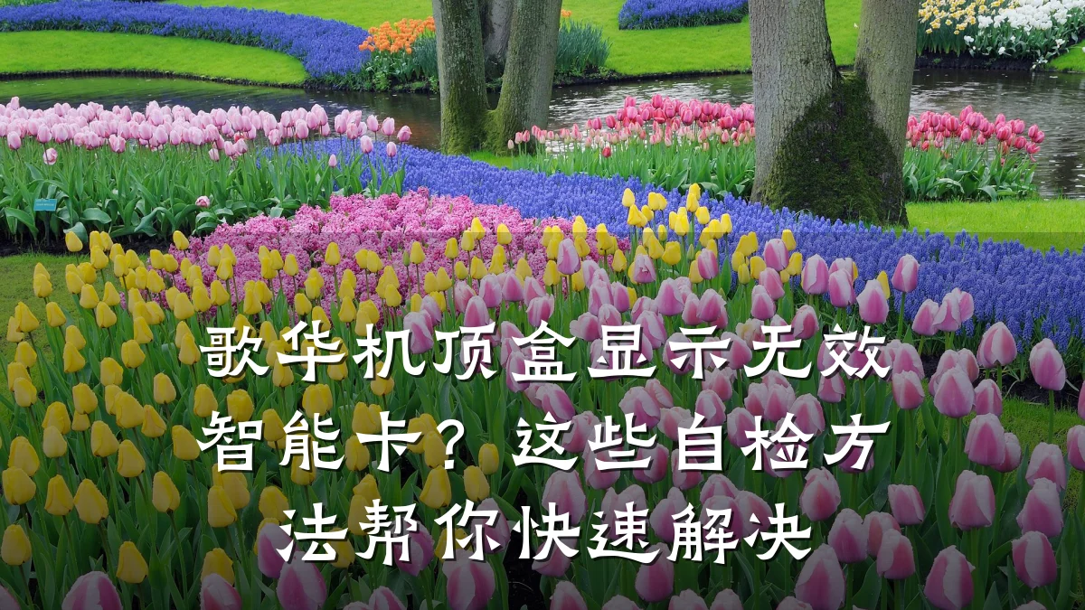 歌华机顶盒显示无效智能卡？这些自检方法帮你快速解决