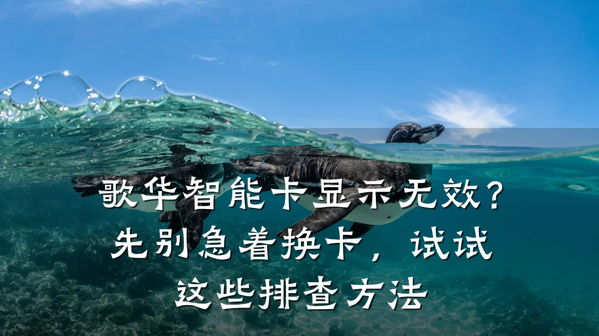 歌华智能卡显示无效?先别急着换卡,试试这些排查方法