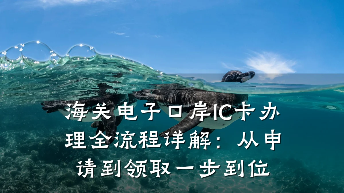 海关电子口岸IC卡办理全流程详解:从申请到领取一步到位