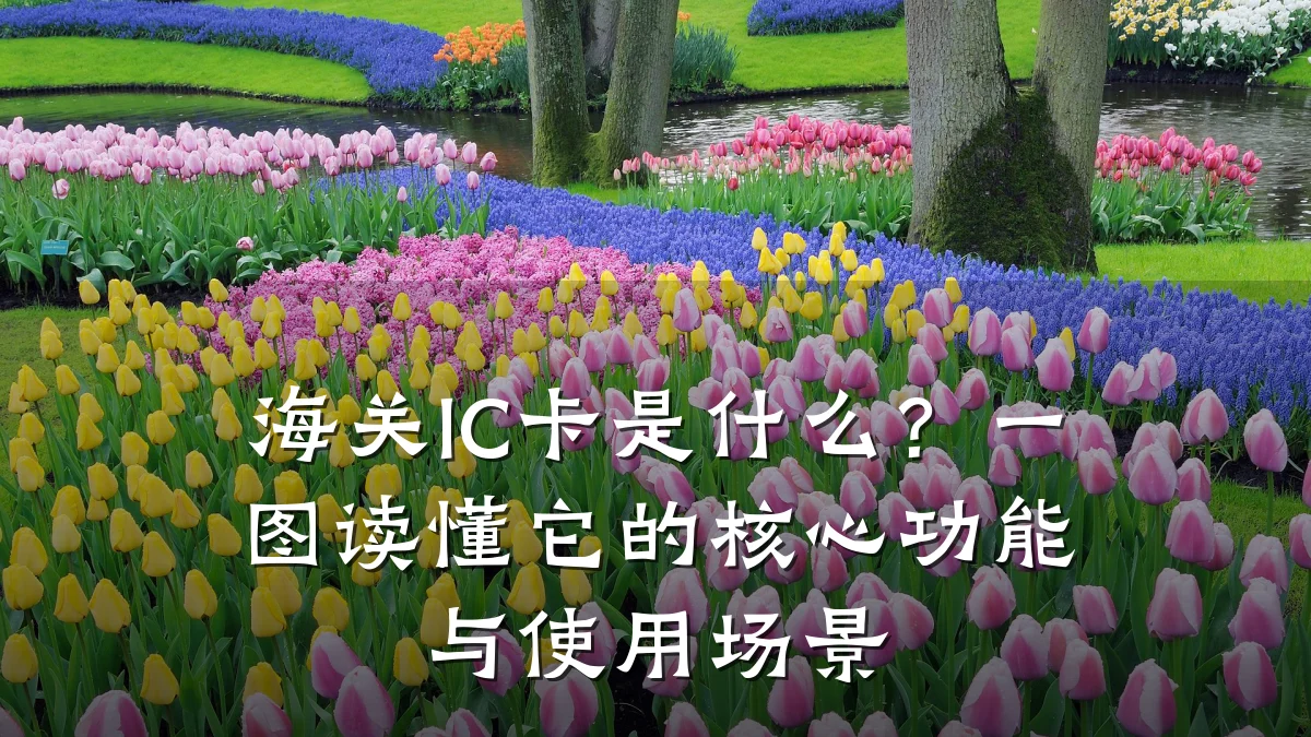 海关IC卡是什么?一图读懂它的核心功能与使用场景