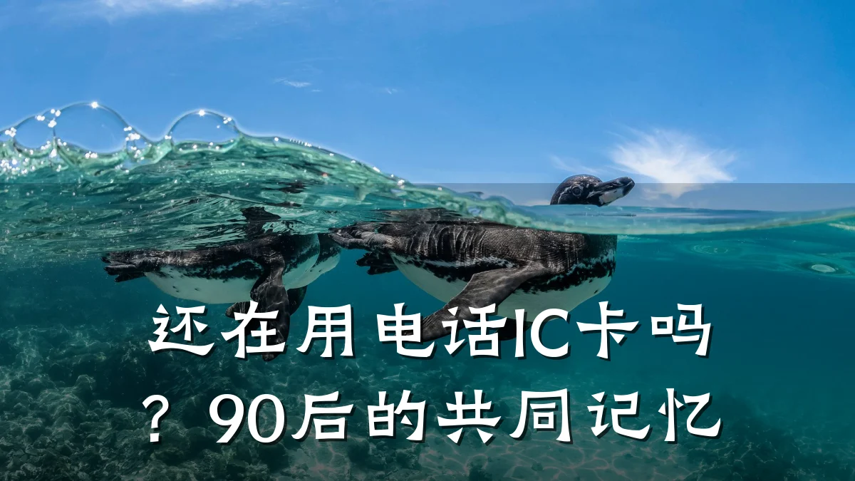 还在用电话IC卡吗?90后的共同记忆