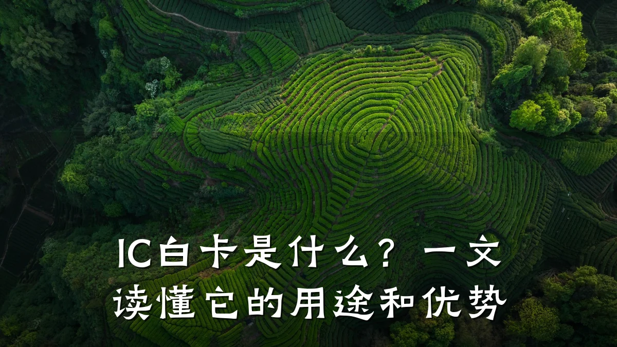 IC白卡是什么？一文读懂它的用途和优势