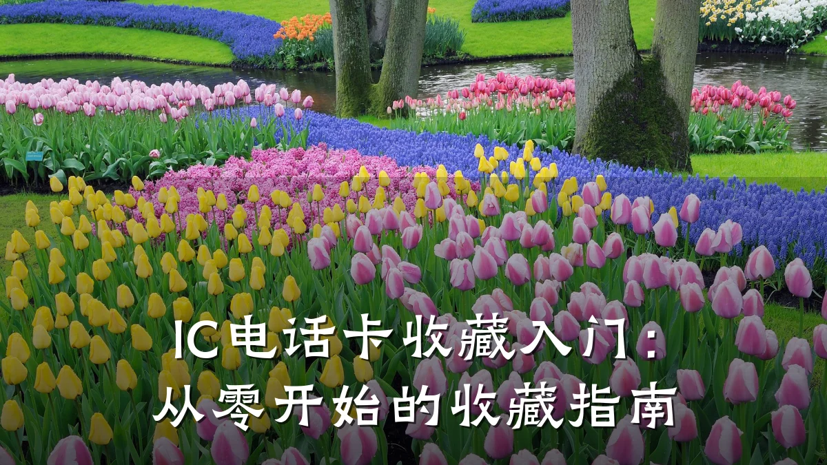 IC电话卡收藏入门：从零开始的收藏指南