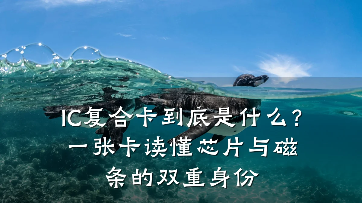 IC复合卡到底是什么?一张卡读懂芯片与磁条的双重身份