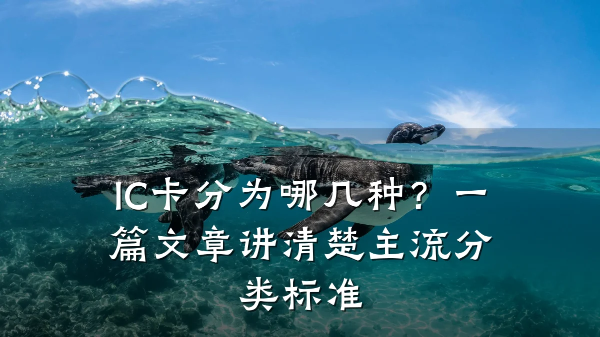 IC卡分为哪几种?一篇文章讲清楚主流分类标准