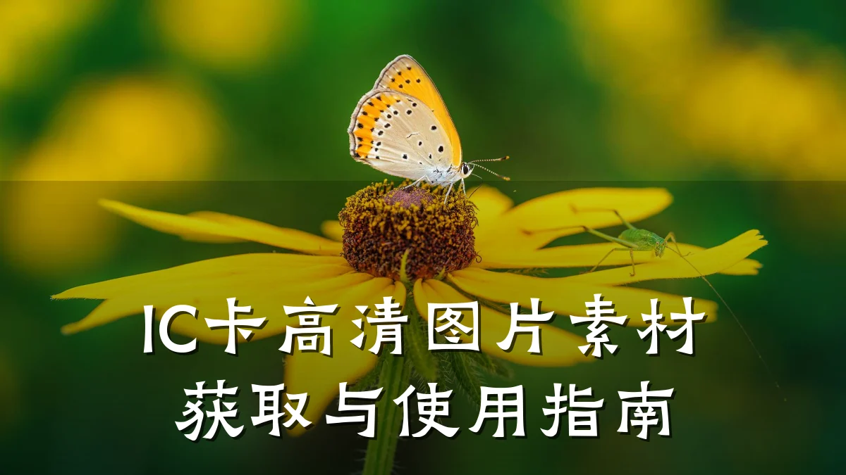 IC卡高清图片素材获取与使用指南