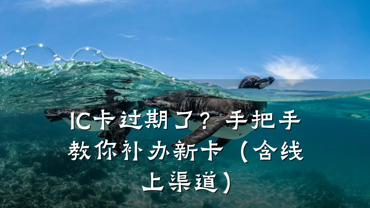 IC卡过期了?手把手教你补办新卡(含线上渠道)