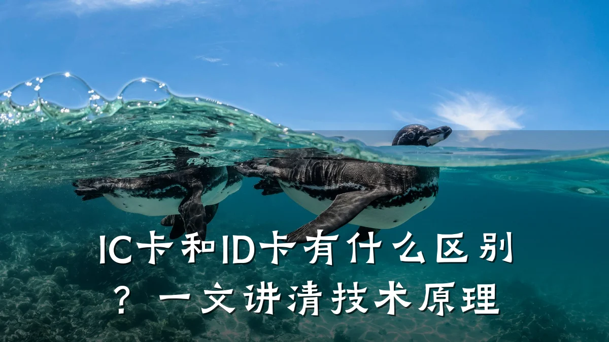 IC卡和ID卡有什么区别?一文讲清技术原理