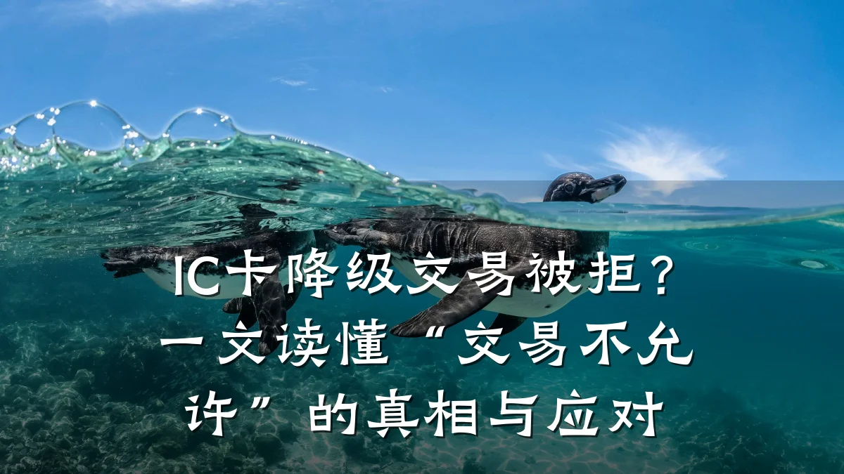 IC卡降级交易被拒?一文读懂“交易不允许”的真相与应对