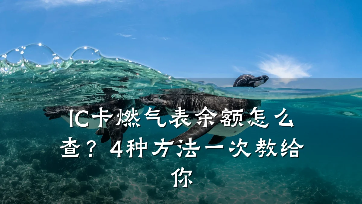 IC卡燃气表余额怎么查?4种方法一次教给你