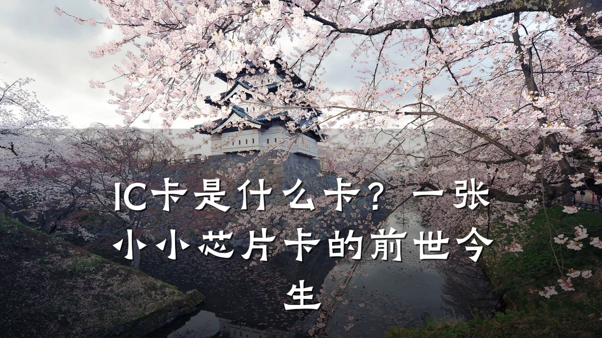 IC卡是什么卡?一张小小芯片卡的前世今生