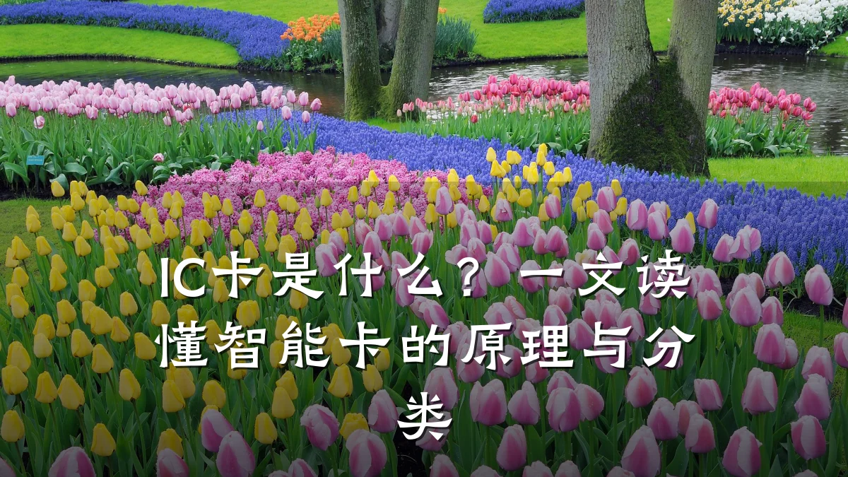 IC卡是什么？一文读懂智能卡的原理与分类