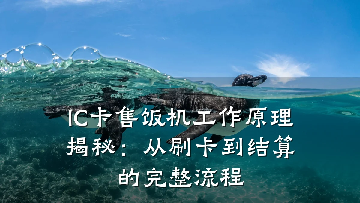 IC卡售饭机工作原理揭秘：从刷卡到结算的完整流程