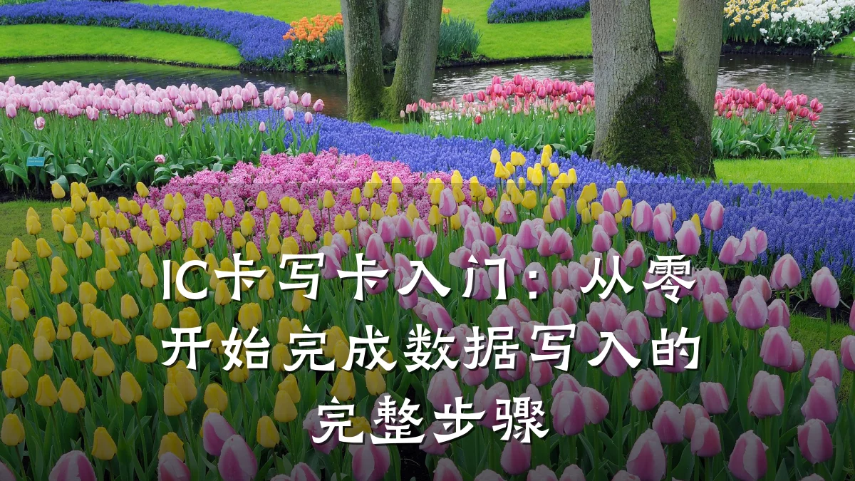 IC卡写卡入门:从零开始完成数据写入的完整步骤