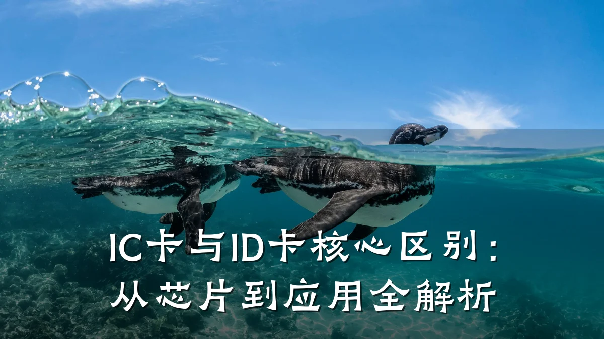 IC卡与ID卡核心区别:从芯片到应用全解析