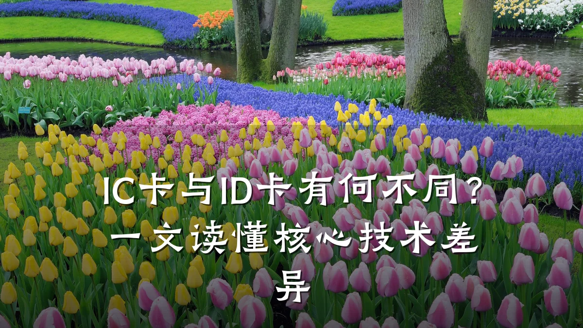 IC卡与ID卡有何不同？一文读懂核心技术差异