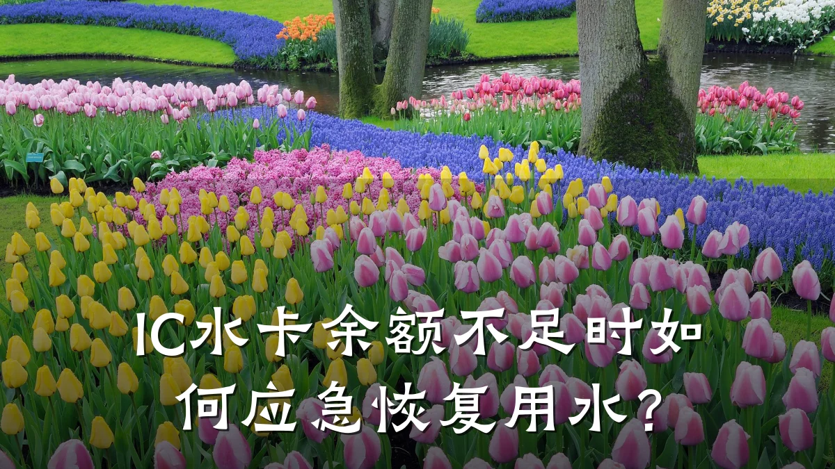 IC水卡余额不足时如何应急恢复用水?