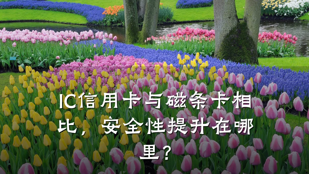 IC信用卡与磁条卡相比,安全性提升在哪里?