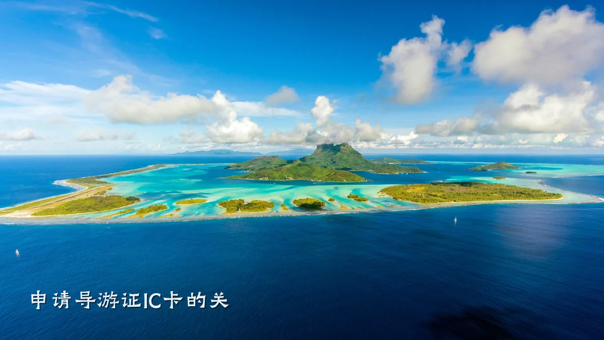申请导游证IC卡的关