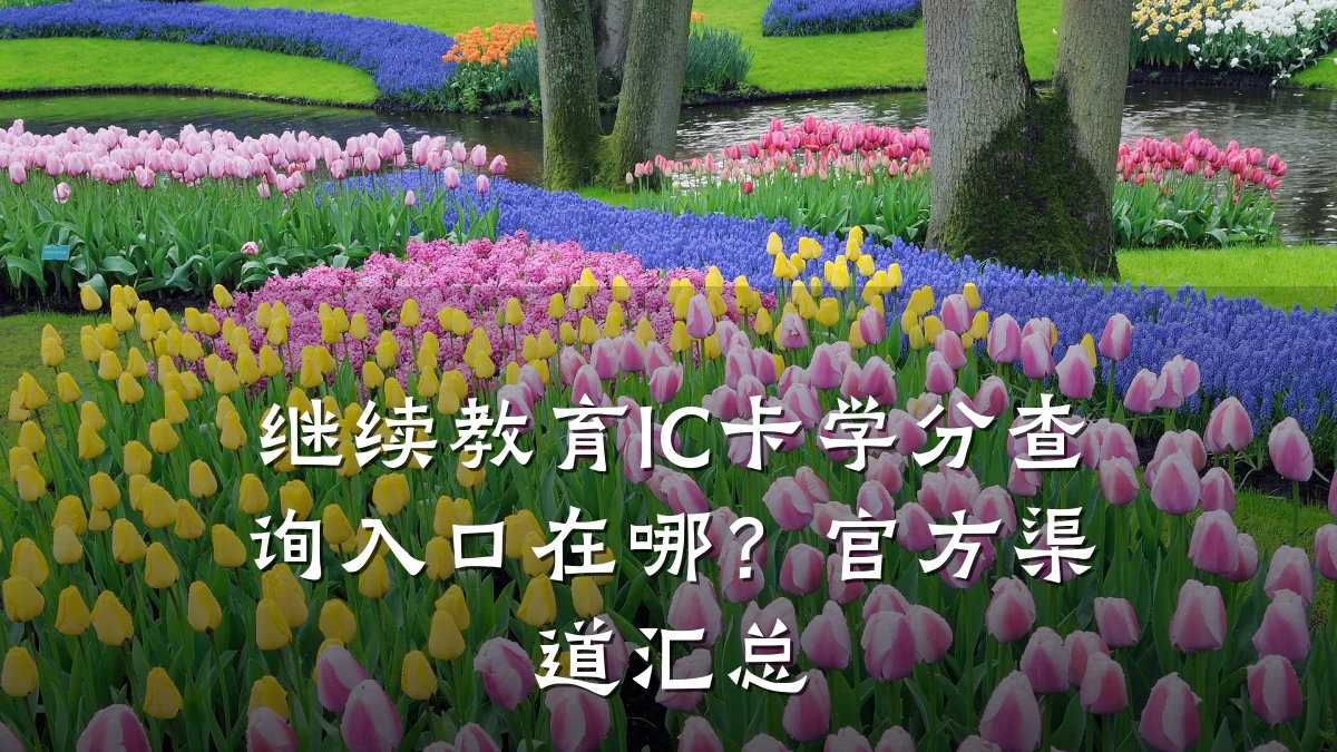 继续教育IC卡学分查询入口在哪？官方渠道汇总