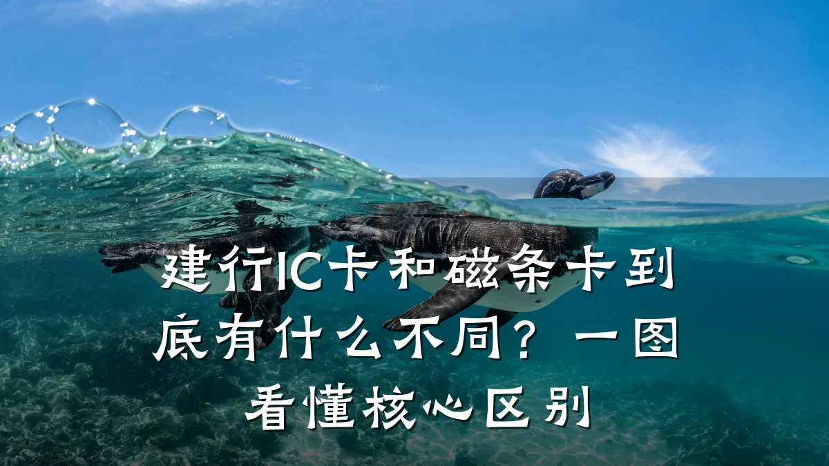 建行IC卡和磁条卡到底有什么不同?一图看懂核心区别