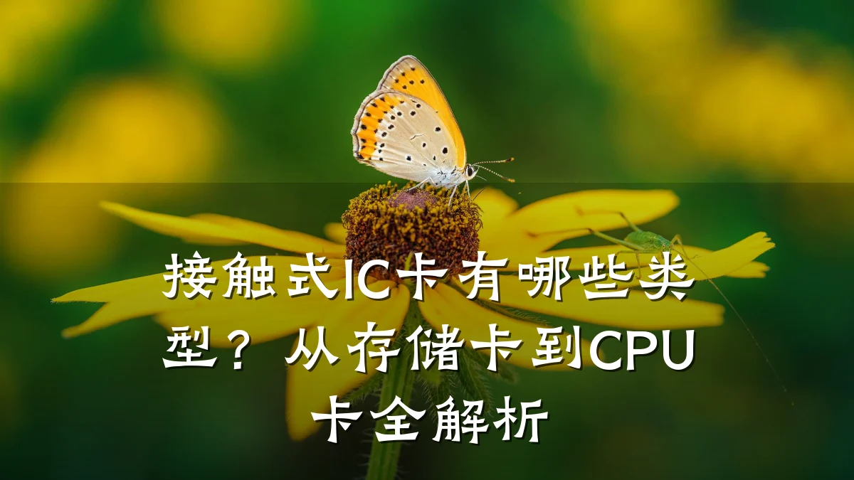 接触式IC卡有哪些类型?从存储卡到CPU卡全解析