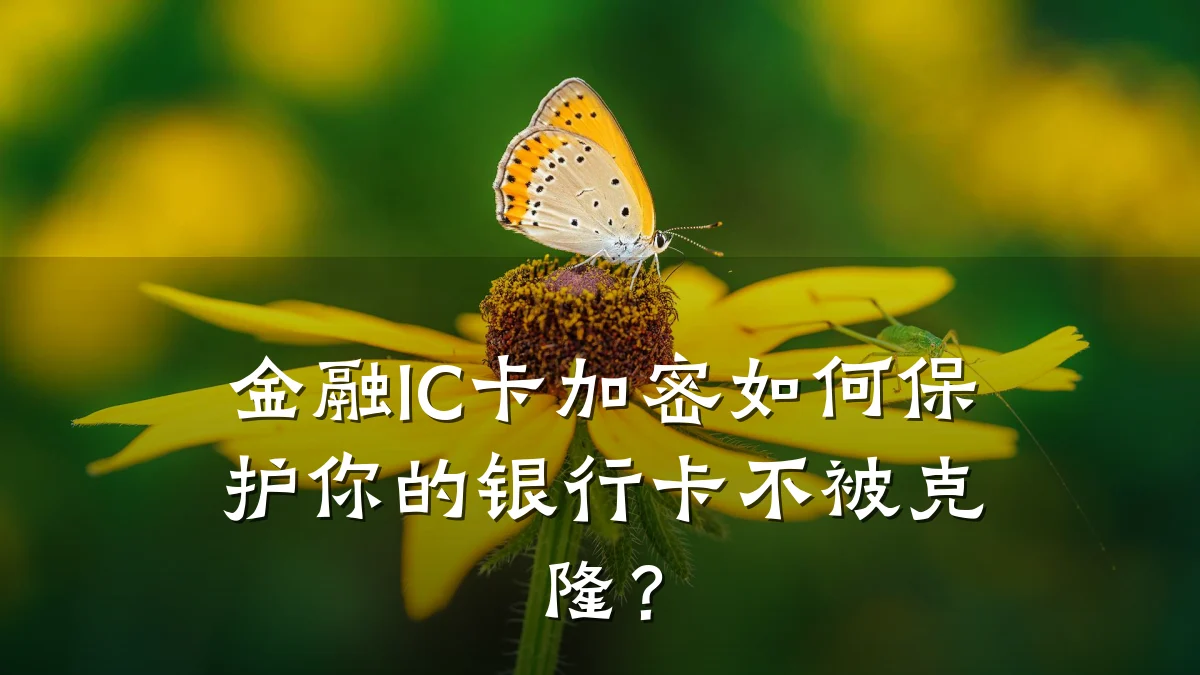 金融IC卡加密如何保护你的银行卡不被克隆?