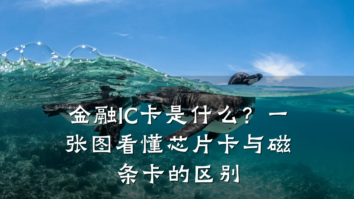 金融IC卡是什么?一张图看懂芯片卡与磁条卡的区别