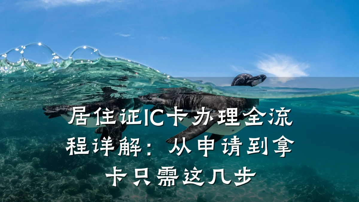 居住证IC卡办理全流程详解：从申请到拿卡只需这几步