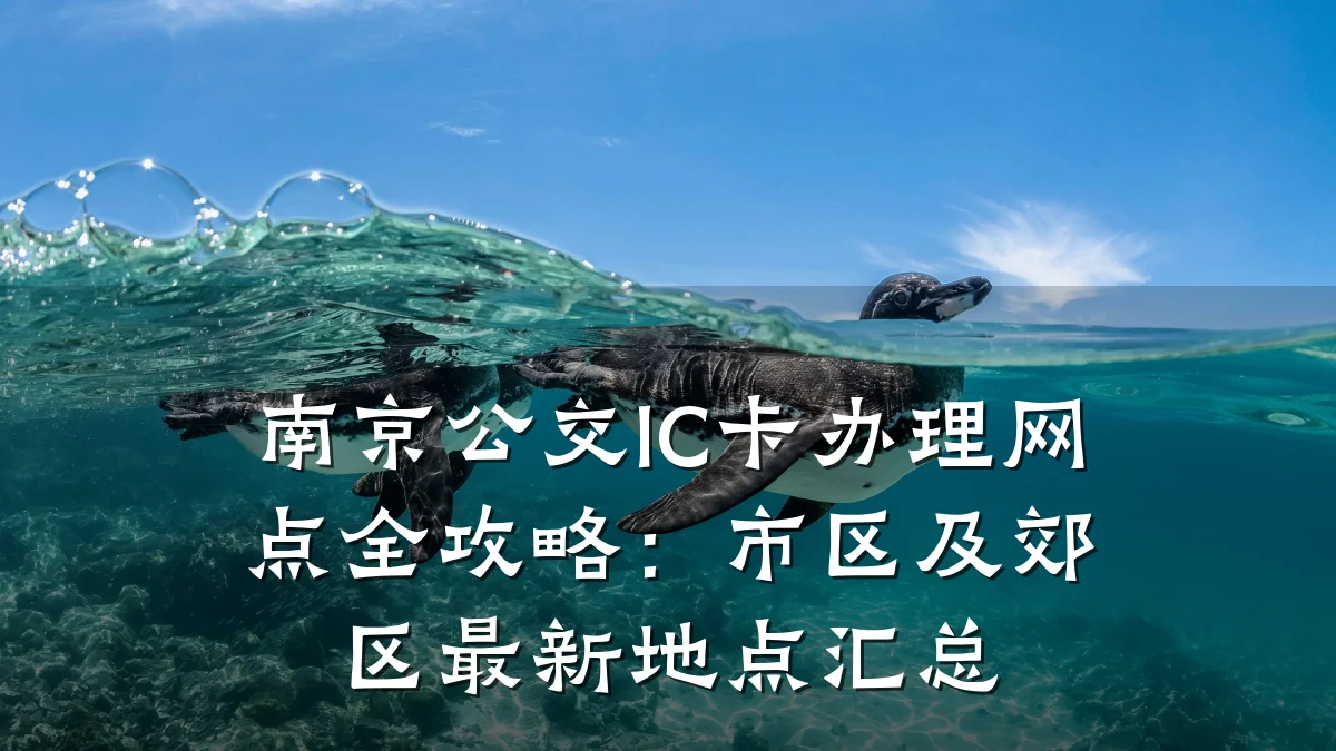 南京公交IC卡办理网点全攻略:市区及郊区最新地点汇总