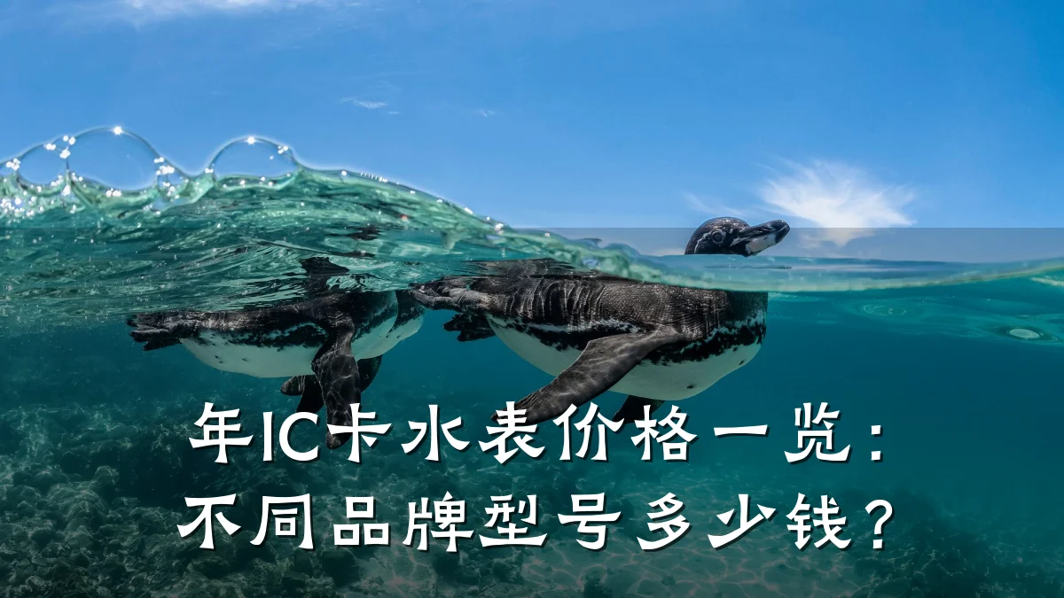 年IC卡水表价格一览:不同品牌型号多少钱?