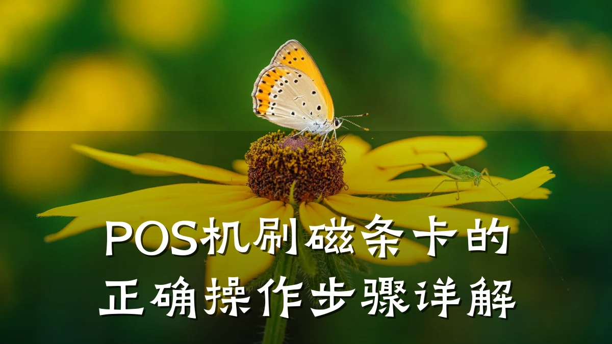 POS机刷磁条卡的正确操作步骤详解