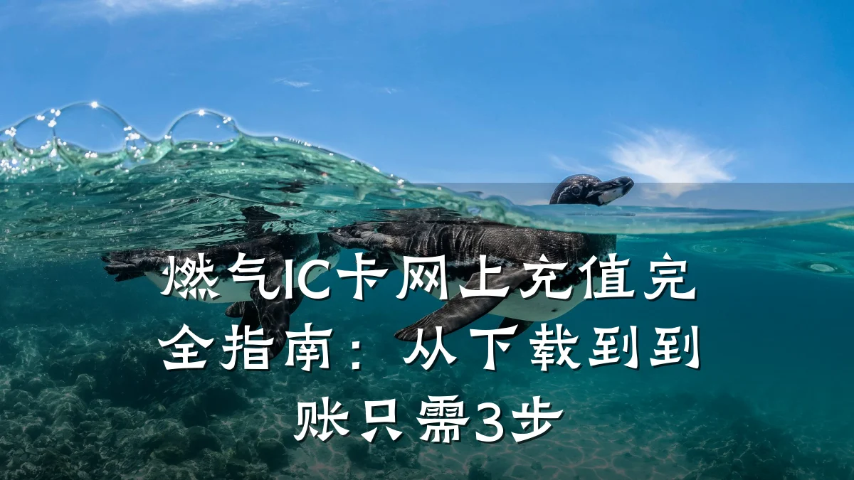 燃气IC卡网上充值完全指南:从下载到到账只需3步