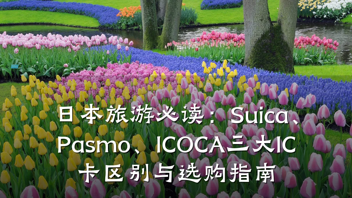 日本旅游必读:Suica、Pasmo、ICOCA三大IC卡区别与选购指南