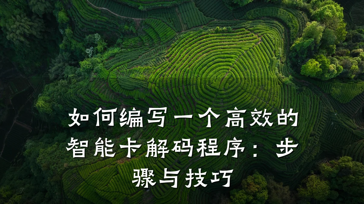 如何编写一个高效的智能卡解码程序:步骤与技巧