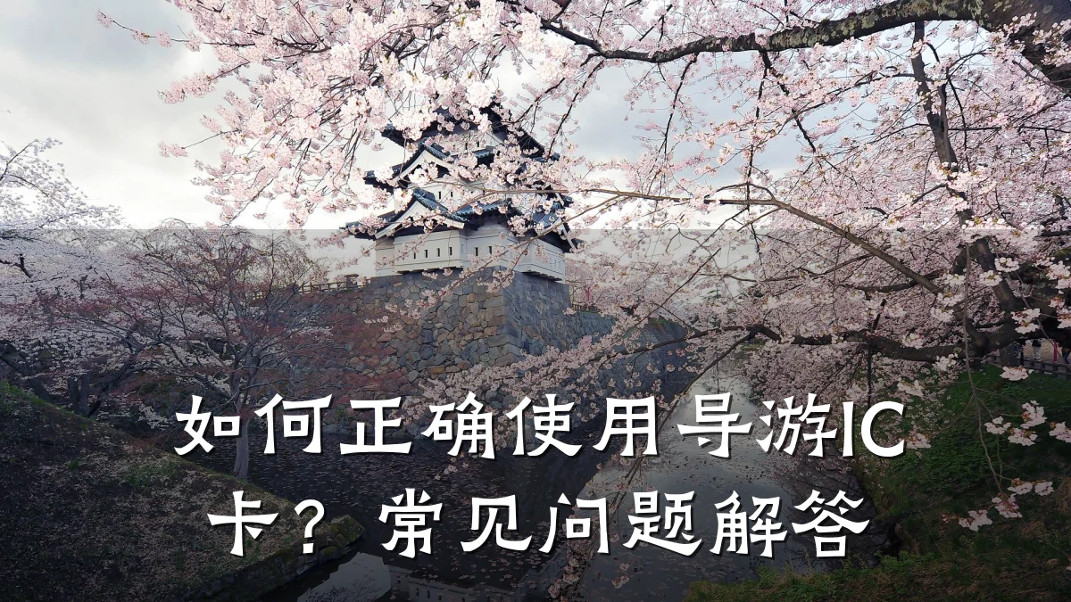 如何正确使用导游IC卡？常见问题解答