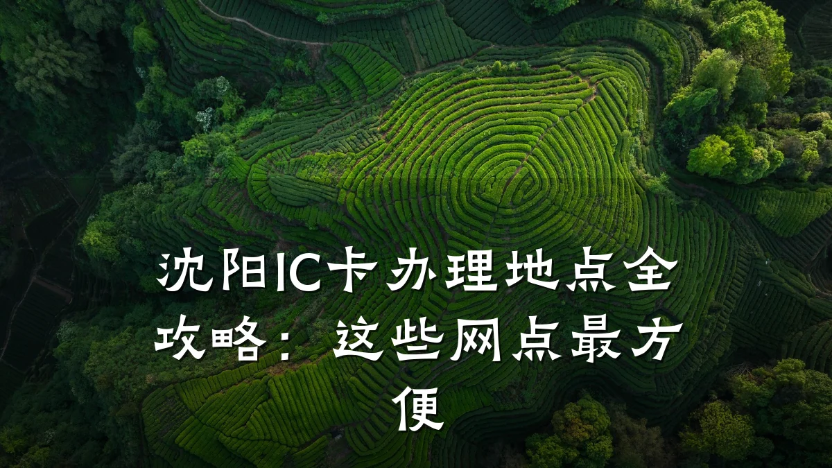 沈阳IC卡办理地点全攻略:这些网点最方便