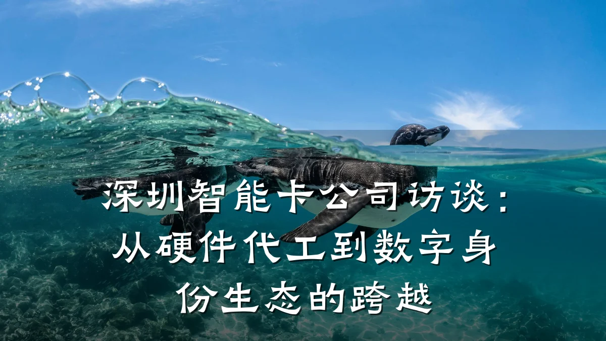 深圳智能卡公司访谈:从硬件代工到数字身份生态的跨越