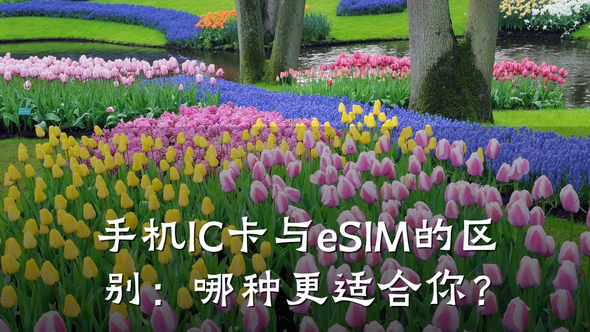 手机IC卡与eSIM的区别:哪种更适合你?