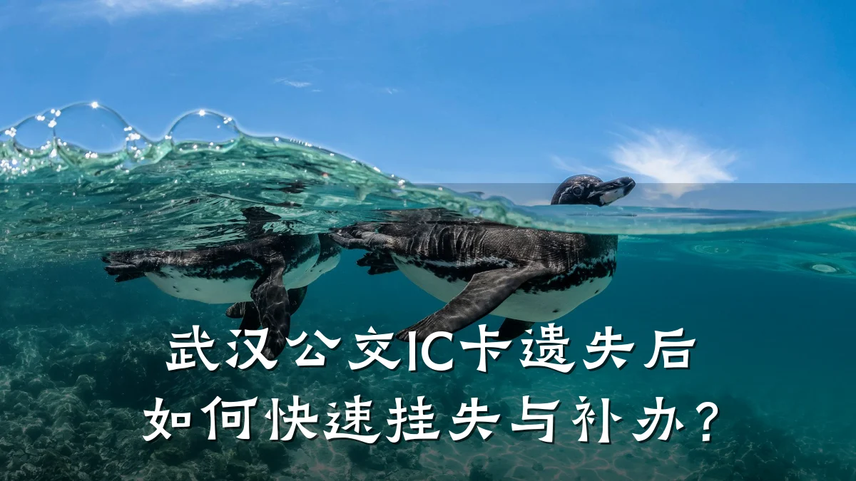 武汉公交IC卡遗失后如何快速挂失与补办？