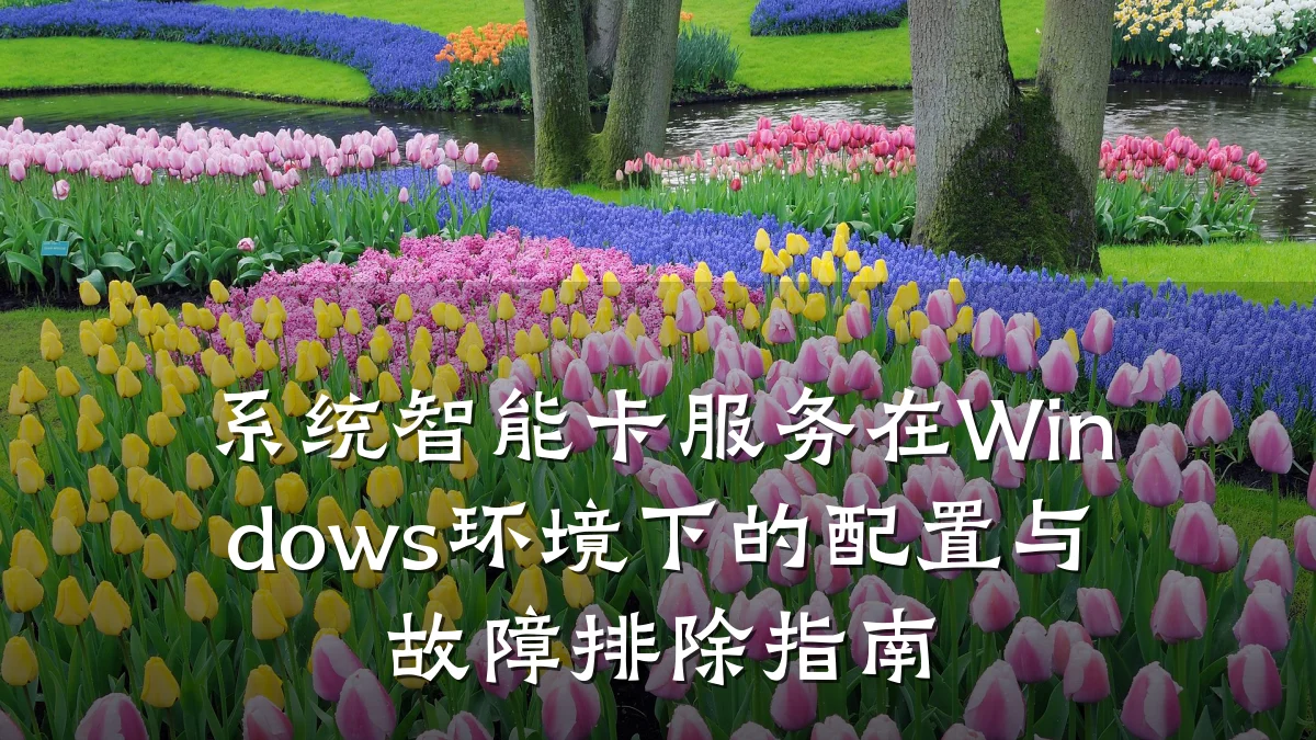 系统智能卡服务在Windows环境下的配置与故障排除指南