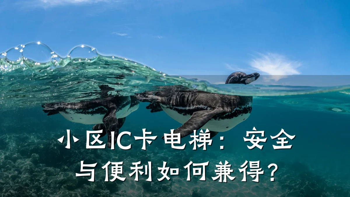 小区IC卡电梯:安全与便利如何兼得?