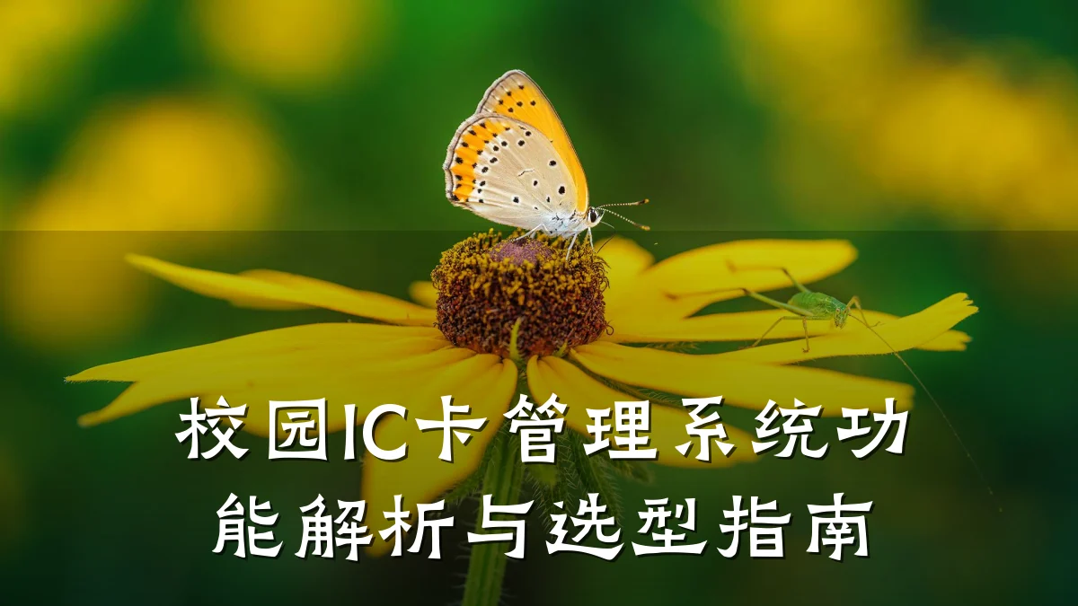 校园IC卡管理系统功能解析与选型指南