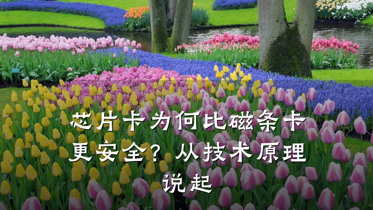 芯片卡为何比磁条卡更安全?从技术原理说起