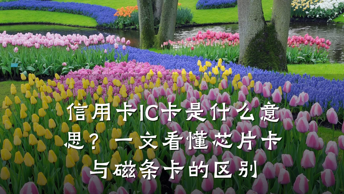 信用卡IC卡是什么意思?一文看懂芯片卡与磁条卡的区别