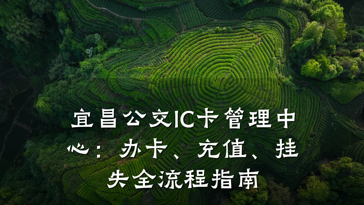 宜昌公交IC卡管理中心:办卡、充值、挂失全流程指南