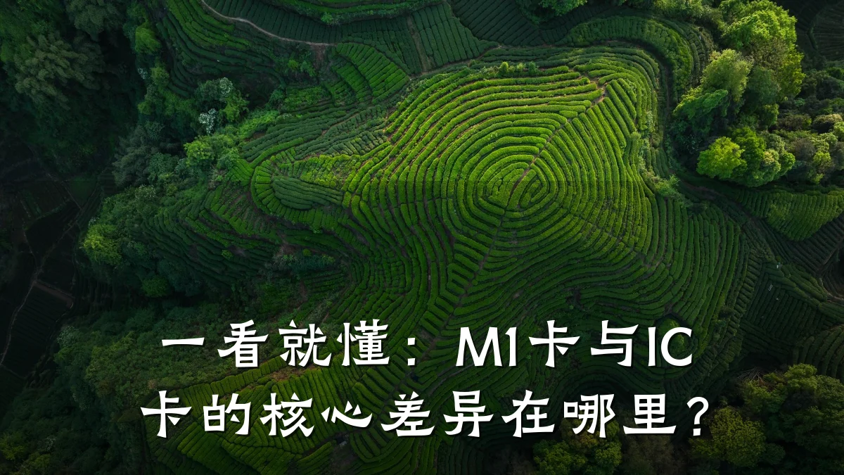 一看就懂:M1卡与IC卡的核心差异在哪里?
