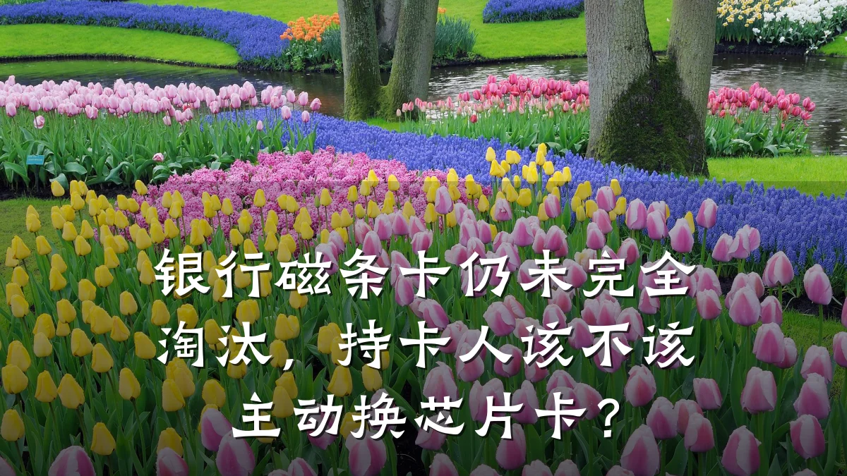 银行磁条卡仍未完全淘汰，持卡人该不该主动换芯片卡？
