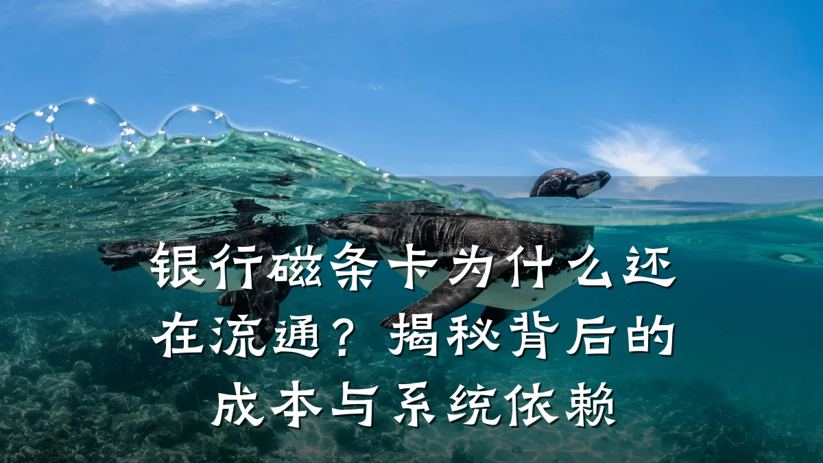 银行磁条卡为什么还在流通?揭秘背后的成本与系统依赖